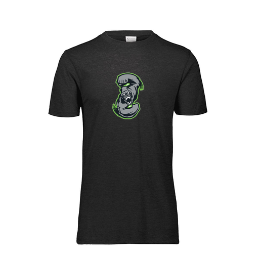 [FTSCUBBK-YS-LOGO1] Decker Youth Tri-Blend T-Shirt - Short Sleeve (Youth S, Black, Logo 1)