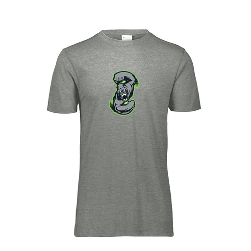 [FTSCUBGY-YS-LOGO1] Decker Youth Tri-Blend T-Shirt - Short Sleeve (Youth S, Gray, Logo 1)