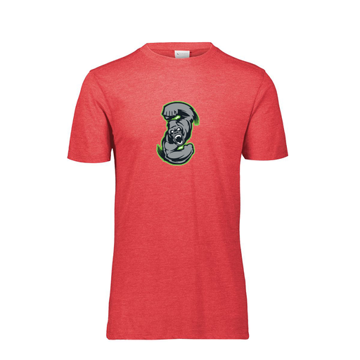 [FTSCUBRD-YS-LOGO1] Decker Youth Tri-Blend T-Shirt - Short Sleeve (Youth S, Red, Logo 1)